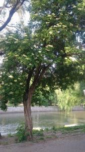 11128583_1641904072712083_1873126143_n