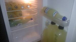 11208878_1641904149378742_1342545284_n