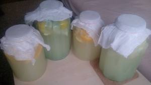 11212304_1641904122712078_567743538_n