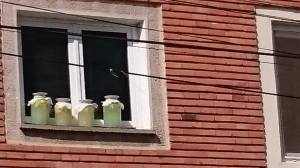 11225692_948529955169345_645234873_n