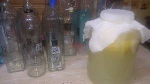 11263841_1641904126045411_662137902_n