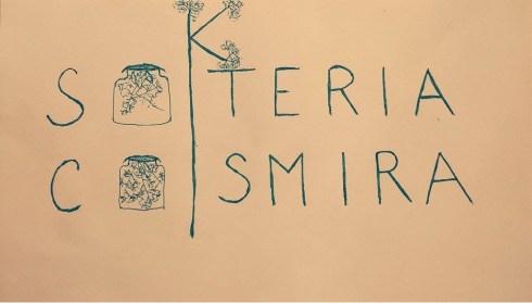 socateria cosmira