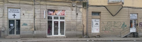 beautiful life surrounded